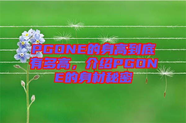 PGONE的身高到底有多高，介紹PGONE的身材秘密