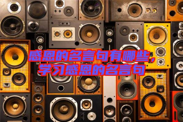 感恩的名言句有哪些，學(xué)習(xí)感恩的名言句