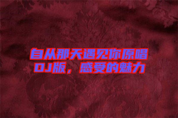 自從那天遇見你原唱DJ版，感受的魅力