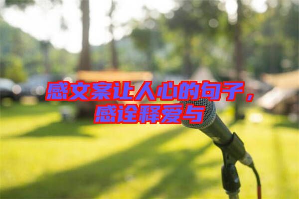 感文案讓人心的句子，感詮釋愛與