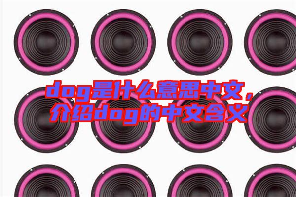 dog是什么意思中文，介紹dog的中文含義