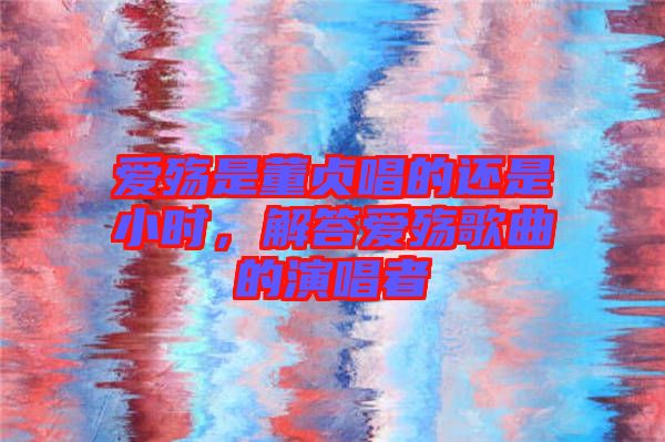愛殤是董貞唱的還是小時，解答愛殤歌曲的演唱者