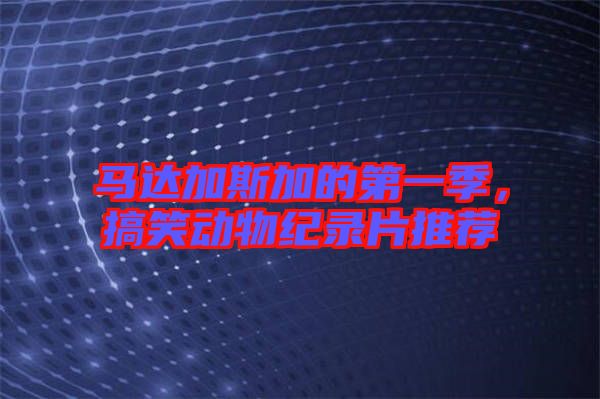 馬達加斯加的第一季，搞笑動物紀(jì)錄片推薦