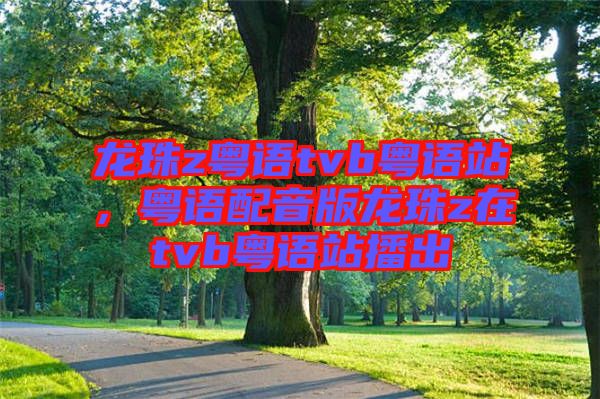 龍珠z粵語(yǔ)tvb粵語(yǔ)站，粵語(yǔ)配音版龍珠z在tvb粵語(yǔ)站播出