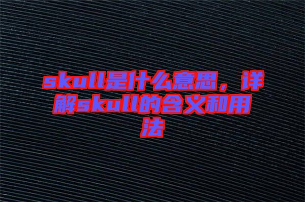 skull是什么意思，詳解skull的含義和用法
