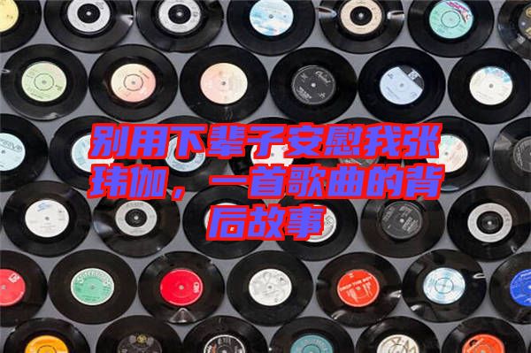 別用下輩子安慰我張瑋伽，一首歌曲的背后故事