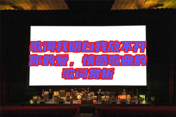 歌詞我明白我放不開(kāi)你的愛(ài)，情感歌曲的歌詞賞析