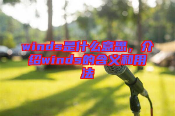 winds是什么意思，介紹winds的含義和用法