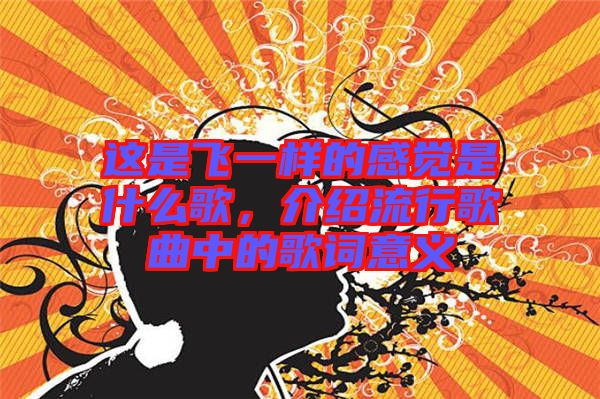 這是飛一樣的感覺是什么歌，介紹流行歌曲中的歌詞意義