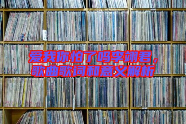 愛我你怕了嗎李翊君，歌曲歌詞和意義解析