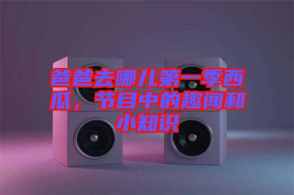 爸爸去哪兒第一季西瓜，節(jié)目中的趣聞和小知識