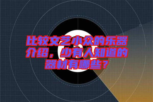 比較文藝小眾的樂器介紹，少有人知道的器材有哪些？