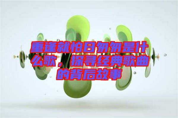 重逢就怕日匆匆是什么歌，探尋經典歌曲的背后故事