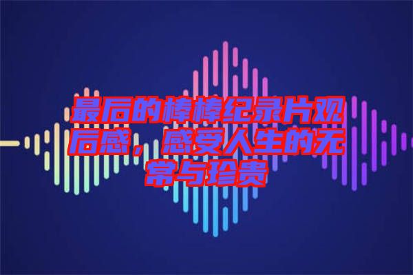 最后的棒棒紀(jì)錄片觀后感，感受人生的無(wú)常與珍貴