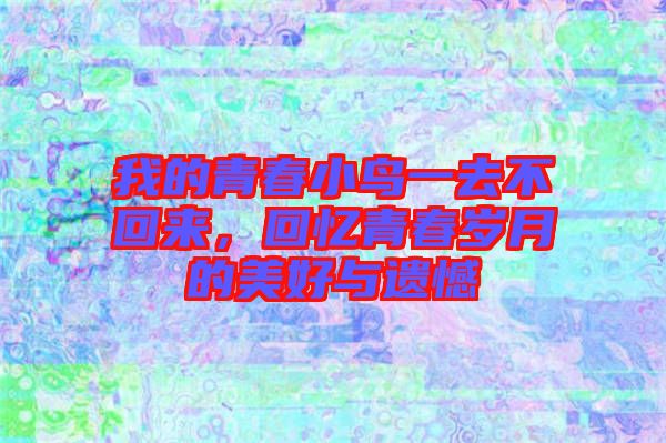 我的青春小鳥一去不回來，回憶青春歲月的美好與遺憾