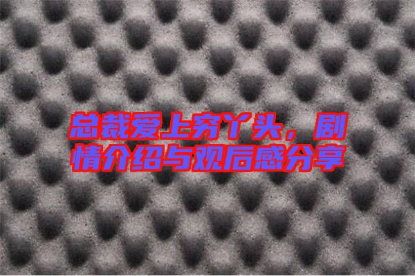 總裁愛(ài)上窮丫頭，劇情介紹與觀后感分享