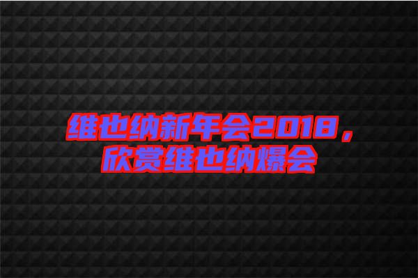 維也納新年會2018，欣賞維也納爆會