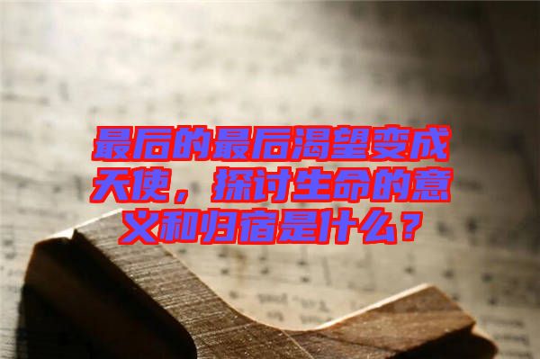 最后的最后渴望變成天使，探討生命的意義和歸宿是什么？