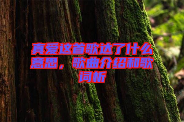 真愛這首歌達(dá)了什么意思，歌曲介紹和歌詞析
