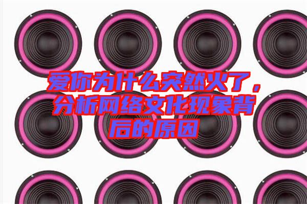 愛(ài)你為什么突然火了，分析網(wǎng)絡(luò)文化現(xiàn)象背后的原因