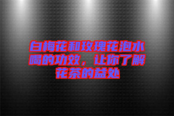 白梅花和玫瑰花泡水喝的功效，讓你了解花茶的益處