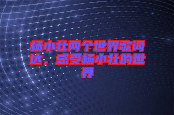 楊小壯兩個世界歌詞達(dá)，感受楊小壯的世界