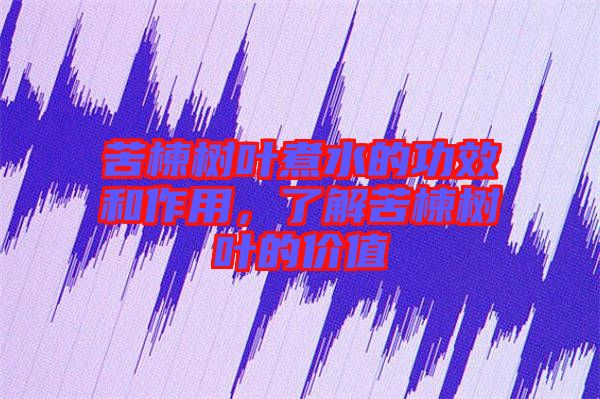 苦楝樹葉煮水的功效和作用，了解苦楝樹葉的價值