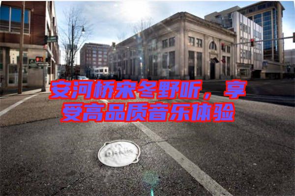 安河橋宋冬野聽，享受高品質(zhì)音樂體驗(yàn)