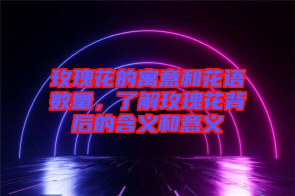 玫瑰花的寓意和花語數(shù)量，了解玫瑰花背后的含義和意義