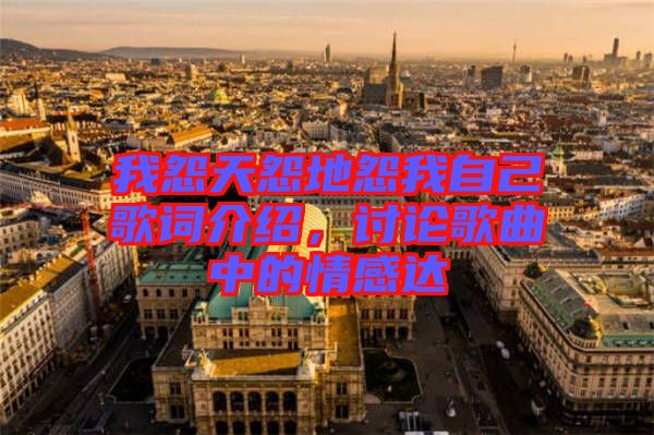 我怨天怨地怨我自己歌詞介紹，討論歌曲中的情感達