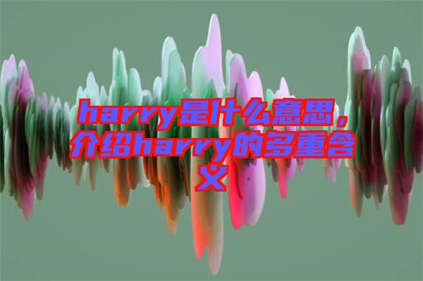harry是什么意思，介紹harry的多重含義
