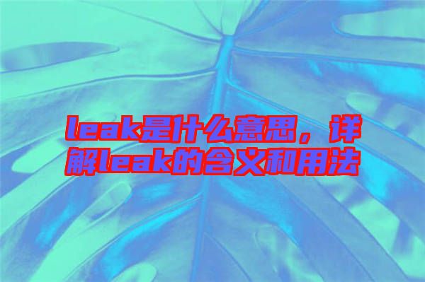 leak是什么意思，詳解leak的含義和用法