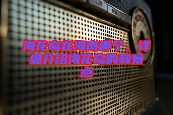 ?；◢u在海南哪個，詳細(xì)介紹?；◢u的和景點