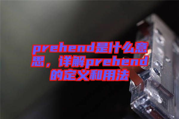 prehend是什么意思，詳解prehend的定義和用法