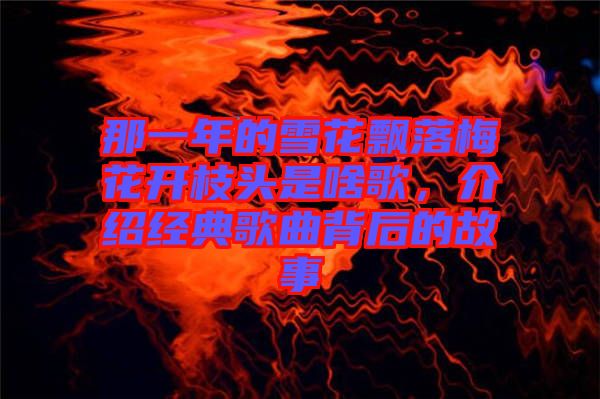 那一年的雪花飄落梅花開枝頭是啥歌，介紹經(jīng)典歌曲背后的故事