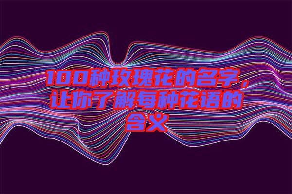 100種玫瑰花的名字，讓你了解每種花語的含義