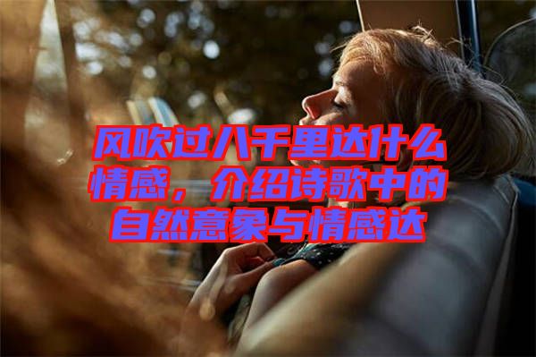 風吹過八千里達什么情感，介紹詩歌中的自然意象與情感達