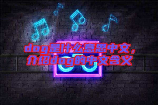 dog是什么意思中文，介紹dog的中文含義