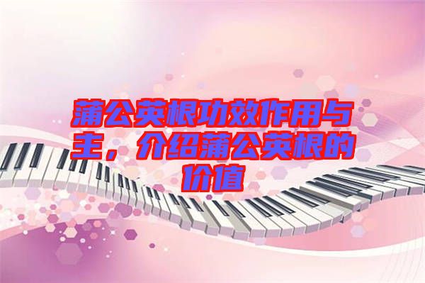 蒲公英根功效作用與主，介紹蒲公英根的價值