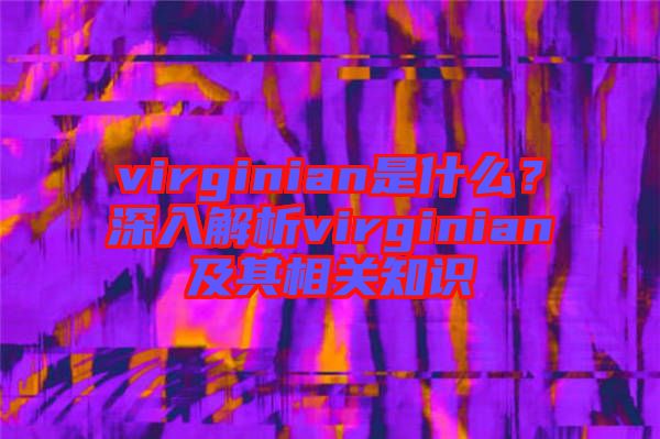 virginian是什么？深入解析virginian及其相關(guān)知識(shí)