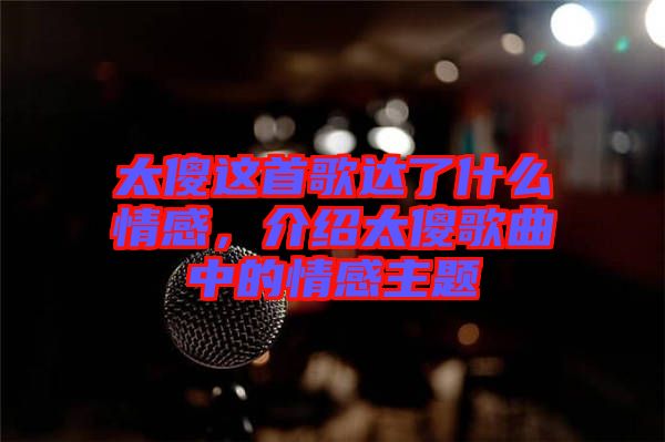 太傻這首歌達了什么情感，介紹太傻歌曲中的情感主題