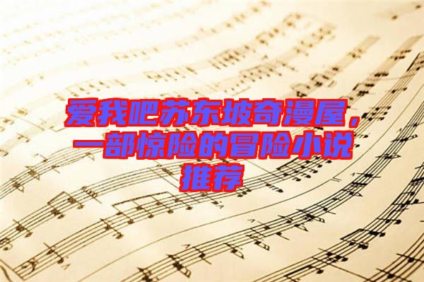 愛(ài)我吧蘇東坡奇漫屋，一部驚險(xiǎn)的冒險(xiǎn)小說(shuō)推薦