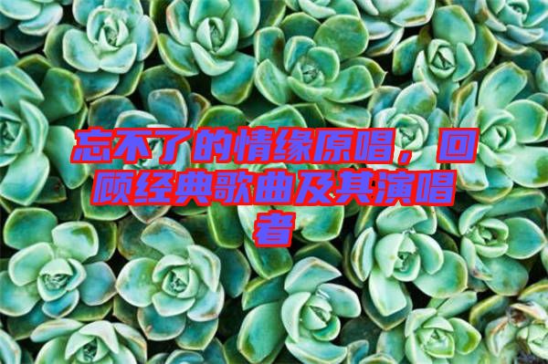 忘不了的情緣原唱，回顧經(jīng)典歌曲及其演唱者