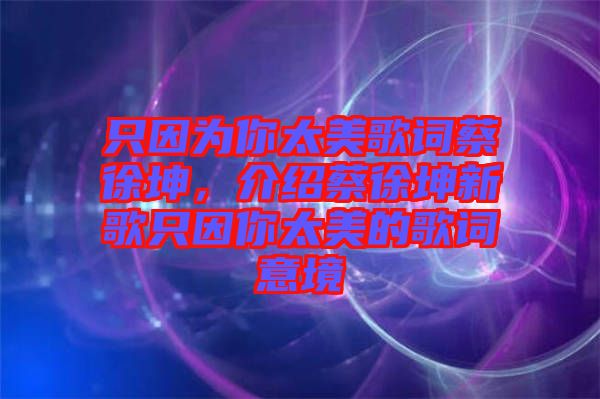 只因為你太美歌詞蔡徐坤，介紹蔡徐坤新歌只因你太美的歌詞意境