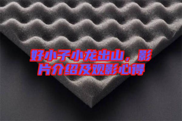 好小子小龍出山，影片介紹及觀影心得