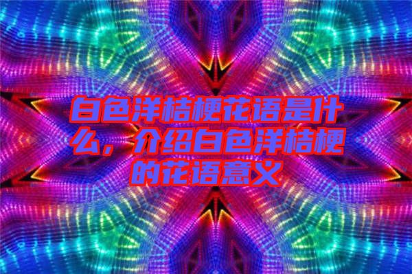 白色洋桔?；ㄕZ是什么，介紹白色洋桔梗的花語意義