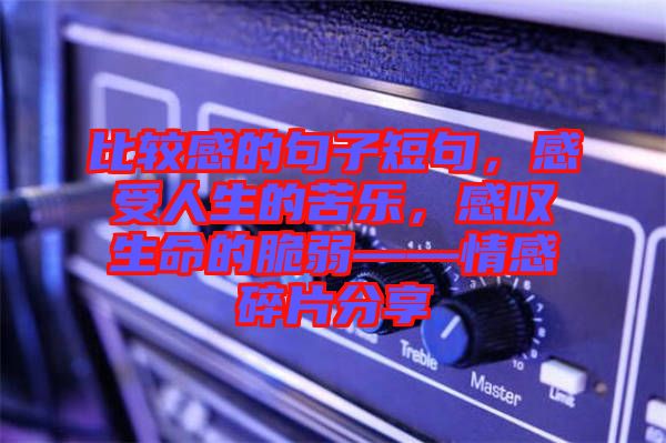 比較感的句子短句，感受人生的苦樂(lè)，感嘆生命的脆弱——情感碎片分享