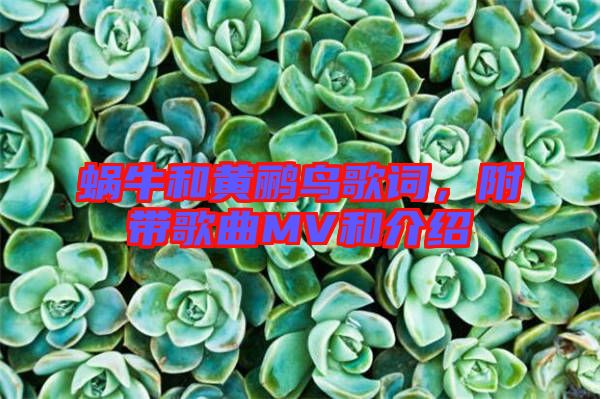 蝸牛和黃鸝鳥歌詞，附帶歌曲MV和介紹