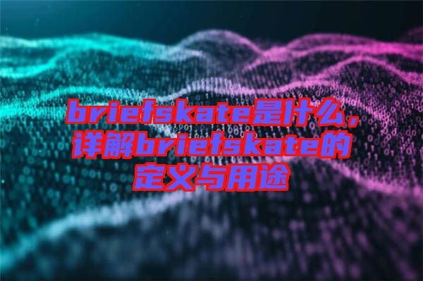 briefskate是什么，詳解briefskate的定義與用途