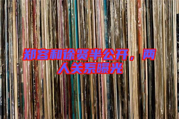 鄭容和徐賢半公開，兩人關(guān)系曝光